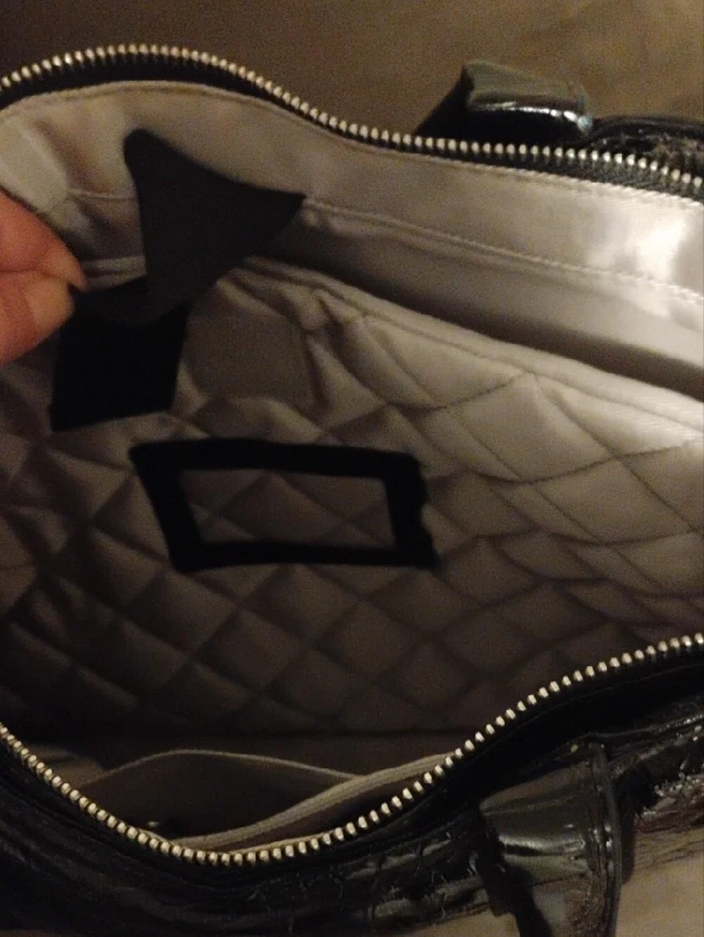 NWOT Women’s  Alligator Print 16